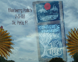 Blueberry Patch Gallery