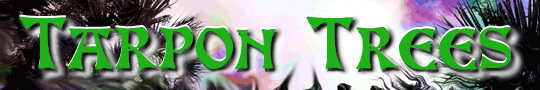 Tarpon Trees